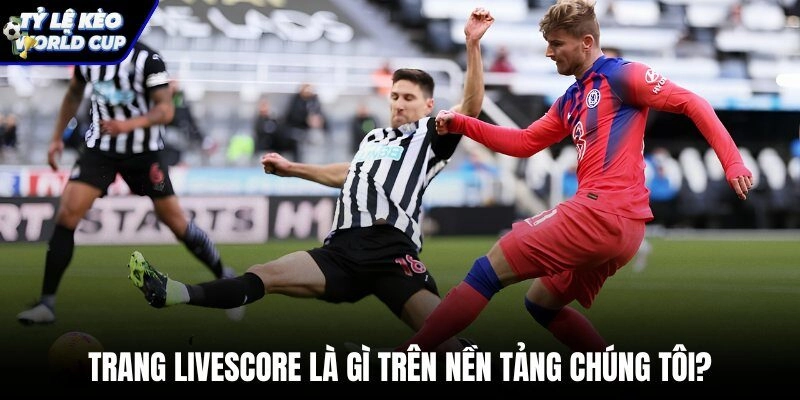Nền tảng Livescore World Cup chuyên nghiệp và tính năng theo dõi trực tuyến