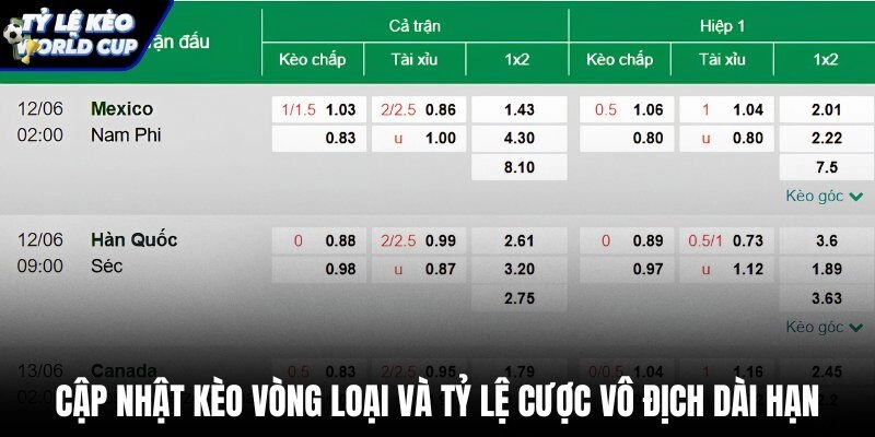 Tỷ lệ cược vô địch kèo World Cup và vòng loại dài hạn