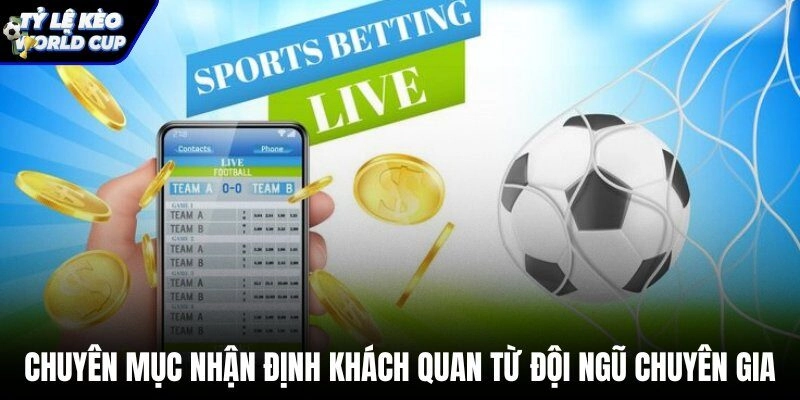 Chuyên gia phân tích chiến thuật và soi kèo World Cup chuyên sâu