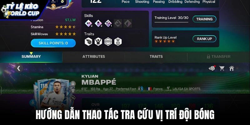 Tra cứu dữ liệu Bảng xếp hạng World Cup nhanh chóng